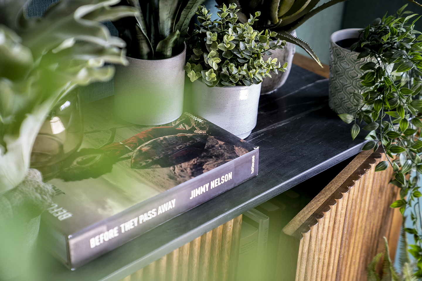 Planten in je interieur